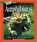 Amphibians thumbnail